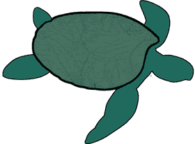 green turtle with map on shell